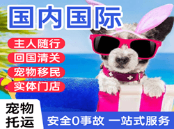沙堤机场物流国际宠物托运 【国